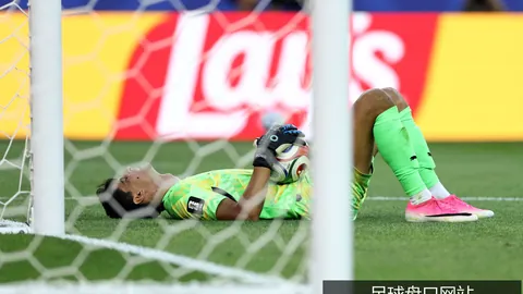 拜仁今夏四大位置引援计划曝光：特奥、塔领衔目标